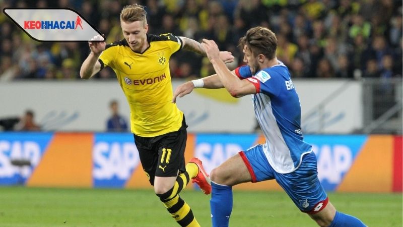 nhan-dinh-bong-da-dortmund-vs-hoffenheim-23h30-ngay-7-12 Nhận định bóng đá Dortmund vs Hoffenheim, 23h30 ngày 7/12