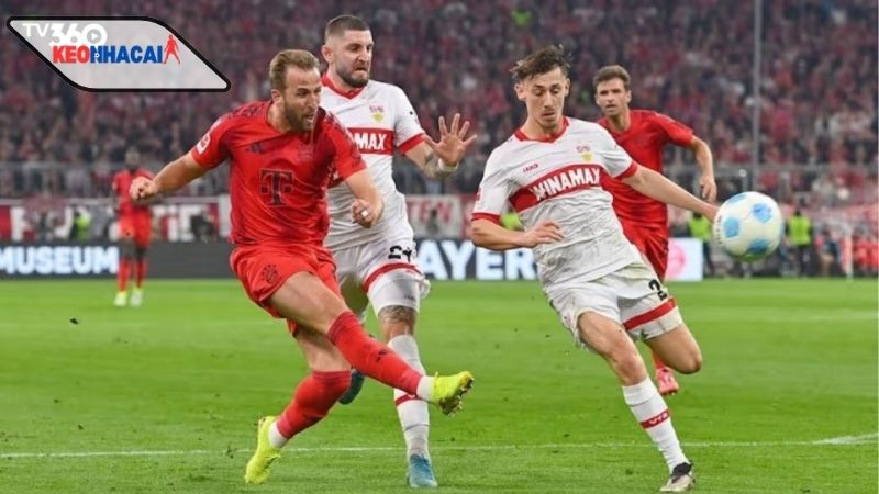 nhan-dinh-bong-da-stuttgart-vs-bayern-21h30-ngay-6-12 Nhận định bóng đá Stuttgart vs Bayern, 21h30 ngày 6/12, hùm xám vượt lên